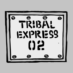 Junkie Liar -  VS Eeboo - ( Soon On Tribal Express 02 )