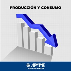 Radio Valle De Uco - Apyme Mendoza Abril 2024