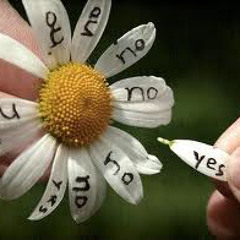 Love Me Love Me Not by Dzy (Prod. Yusei/L.A.)