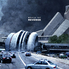 Revenge