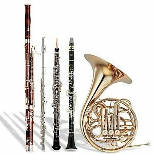 Stream Fantasia for Woodwind Quintet Tom Morgan by C. Alan