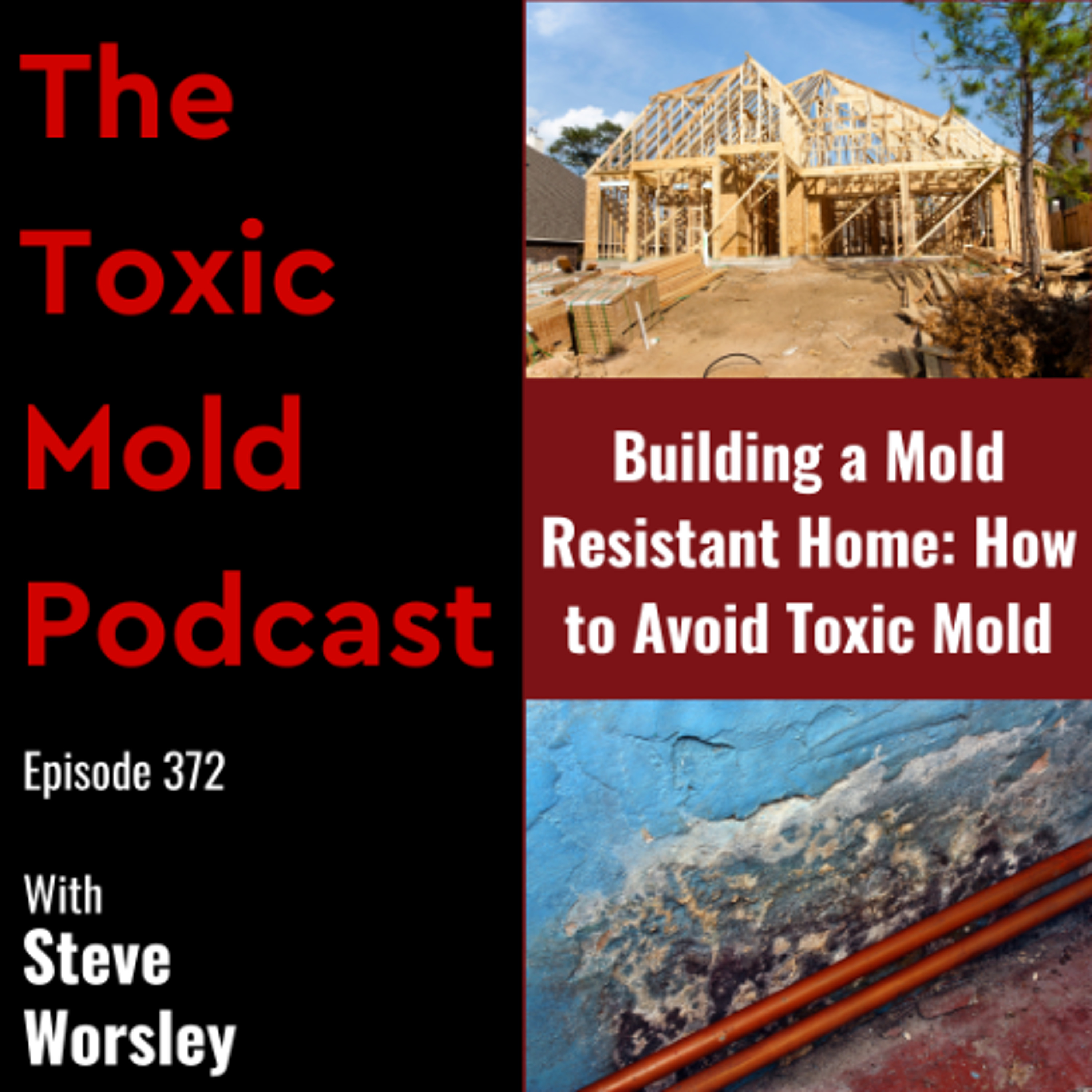 EP 372: Building a Mold Resistant Home: How to Avoid Toxic Mold episode artwork