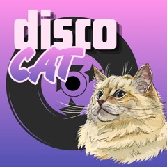 THE DISCO CAT
