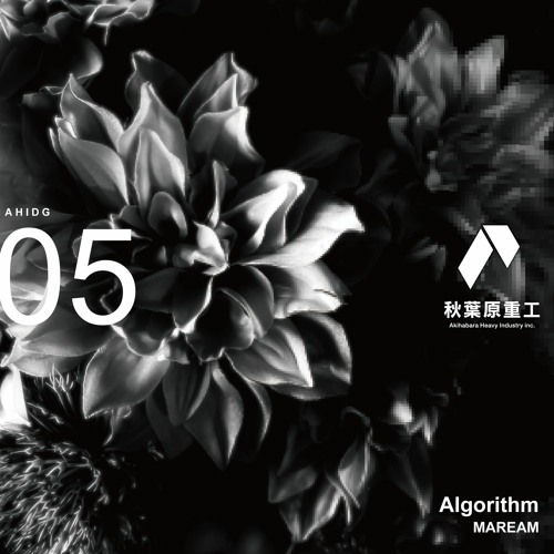 AHIDG05 - Algorithm