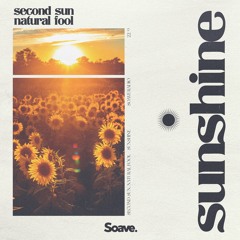 Second Sun & Natural Fool - Sunshine