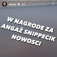 vkie snippet 25.08