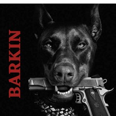 BARKIN