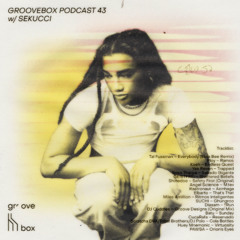 Schimmer Groovebox #043 w/ Sekucci