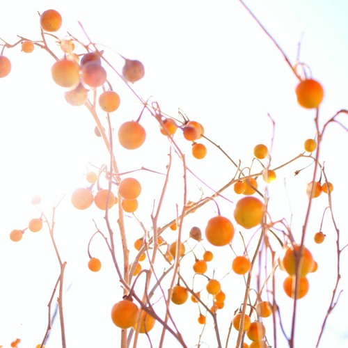 cavetown - talk to me