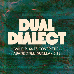 Pripyat Transfigured