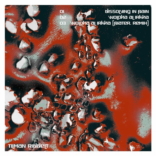 [PREMIERE] Tilman Riddelt - Dissolving In Pain
