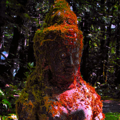 Wanna talk about (vibrations 2/2)