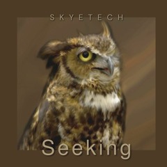Seeking
