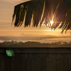 Solace after the Storm