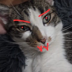 why cut yourself when you can be in love?