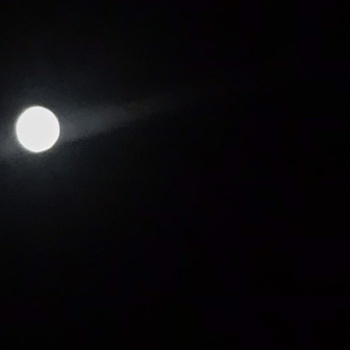 Fool Moon Blood Strings by M E R C A D O aka SakrelGabriel