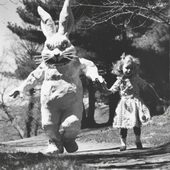 Team No Sleep Diarys