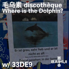 百会 BAIHUI 毛乌素 discothèque w/ 33de9 11/03/25