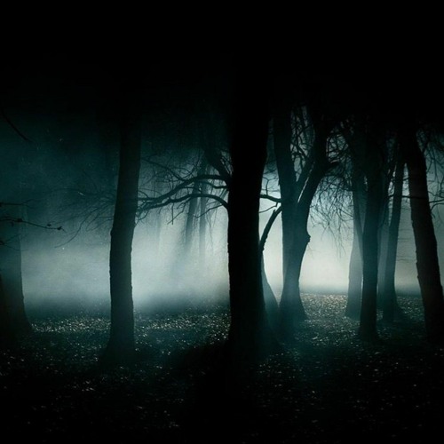MÄEM - MAY CHAPTER