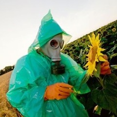 Quarantini