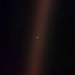 MEDEN - THE PALE BLUE DOT