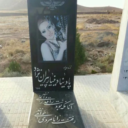 تلاشی مذبوحانه و بی زرق و برق برای پادینا که نمیشناسمش