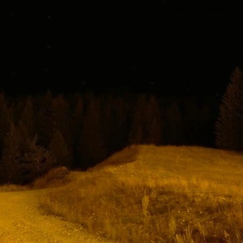 dazed. "buy it, use it". (+Sarskii)