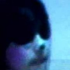 GRAFFITI ISLAND- Wolf Guy