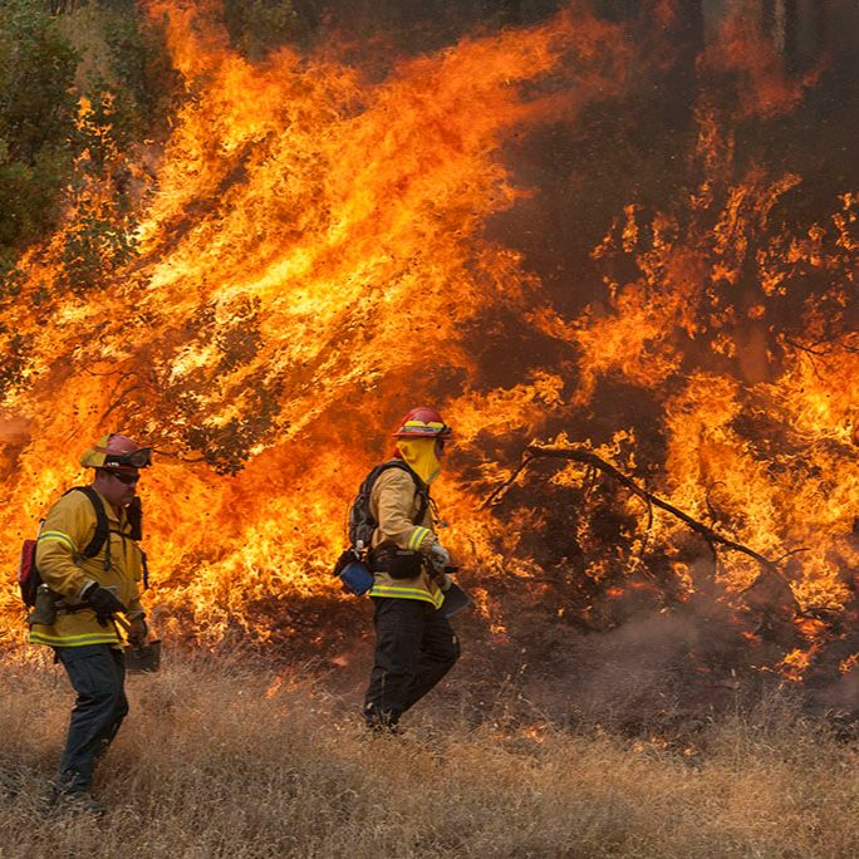 A Call to Cool the Earth, Financial Sector in Climate Denial and more episode artwork