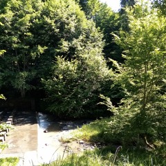 Câmpu Cetății, Transylvania, Romania