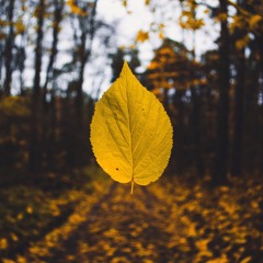 Essence - Ocha Suelta