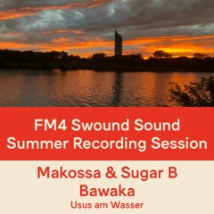 FM4 Swound Sound #1366