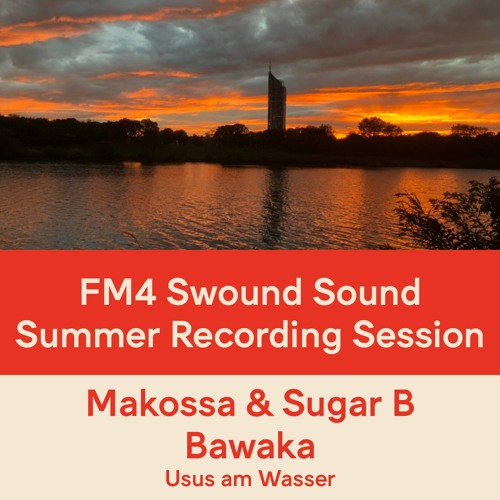 FM4 Swound Sound #1366