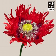 Gonno　JIN08　Jin Records JIN 08 | Gonno