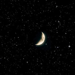 Waaffle - Moon And Stars (1nonly Cover)
