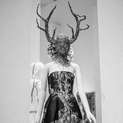 Birthday Clouds 2023 - ANDREW N. BATES