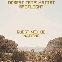 DESERT TRIP GUEST MIX
