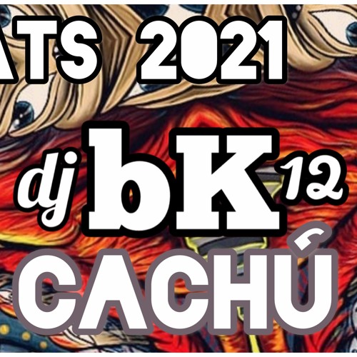 Beat Cachu Dj BK12