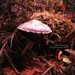 Egor Kuchepatov - DHAR:MA podcast # 70