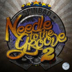 DJ Spinbad: Needle To The Groove 2 (2010)
