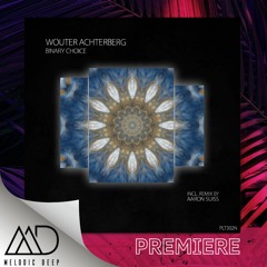 PREMIERE: Wouter Achterberg - Gloom (Extended Mix) [Polyptych Noir]