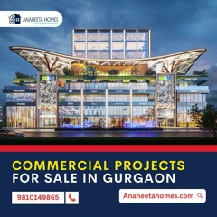 Commercial Projects For Sale In Gurgaon