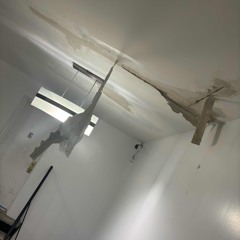 moh baretta - preliminary prod cranes