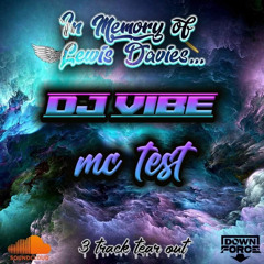 DJ Vibe & MC Test