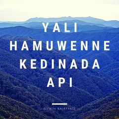 Yali Hamuwenne Kedhinadha Api