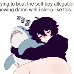 ALLEGATIONS I PROMISE