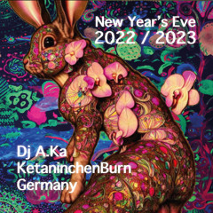 Dj A.Ka @ KetaninchenBurn, New Year's Eve, 2022-23, Germany