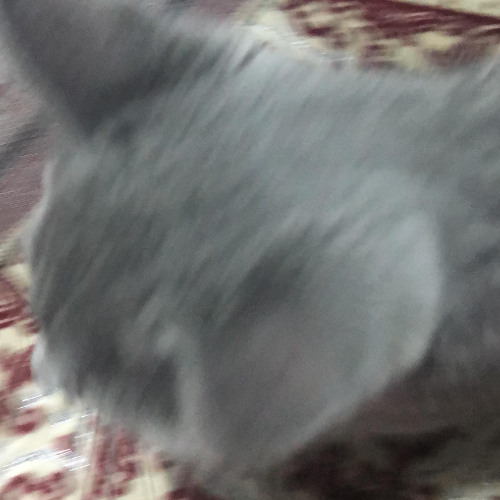 my great baby