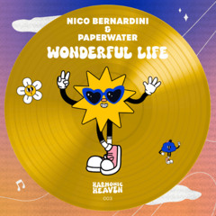 Nico Bernardini & Paperwater - Wonderful Life (Original Mix)
