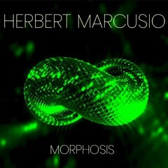 Herbert Marcusio - Morphosis 08.12.2023